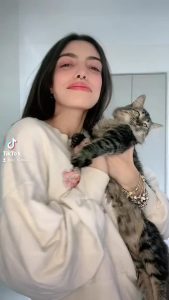 Brunette Kitten Tiktok by lizfermini