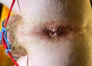 Close up Ass Asshole by Metatoxix