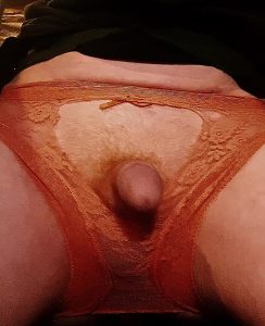 Cock Anal Hairy by Metatoxix