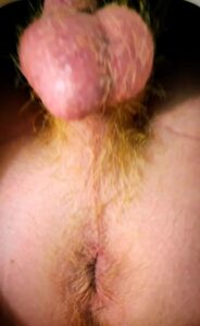Cock Penis Shakes ass by Metatoxix