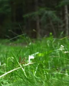 Onlyfans Amateur Ass by EvaOooops