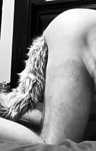 Tail plug Thong Cosplay by Slutdaddy69