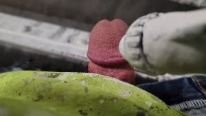 Work Bodypaint Cock by inches 3