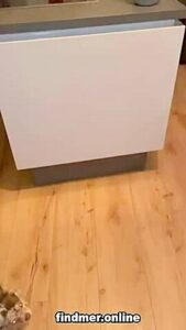 Crazy Adult Clip Milf Hot Watch Show