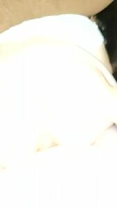 Crazy Porn Scene Vertical Video Best Watch It