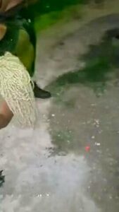Dancehall Queen Danger Showing Out