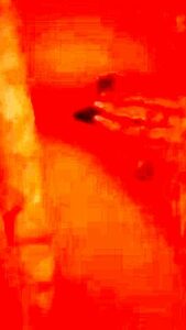 Excellent Sex Scene Vertical Video Wild Only Here 1