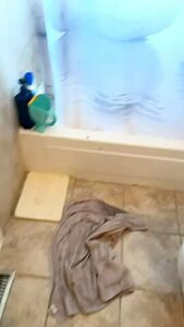 Horny Xxx Scene Vertical Video Exotic 1