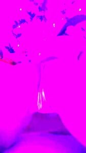 Hottest Sex Scene Vertical Video Craziest Its Amazing