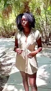 In The Park Flashing