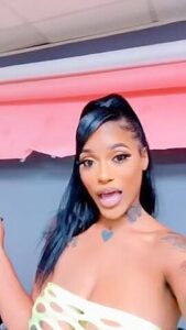 Nipple See Through