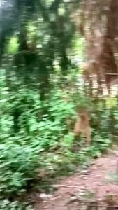 Random Clip 7311