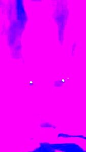 Random Clip 7796