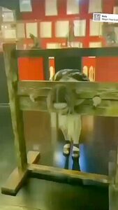 Best Porn Scene Vertical Video Greatest Take A Look