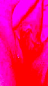 Best Xxx Video Vertical Video Wild Its Amazing