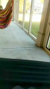 Crazy Porn Movie Vertical Video Best Watch It