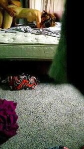 Crazy Porn Movie Vertical Video New Full Version 1