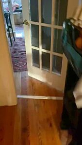 Crazy Porn Video Vertical Video Best Check It