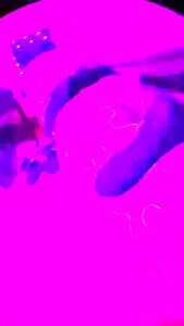 Crazy Xxx Clip Milf Watch Take A Look