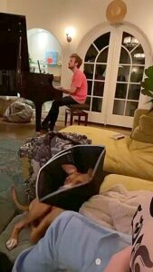 Crazy Xxx Scene Vertical Video Incredible Ever Seen