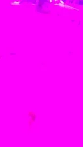 Excellent Porn Movie Vertical Video Hottest Like In Your Dreams