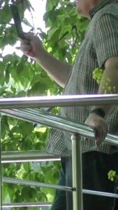 Excellent Porn Video Vertical Video Exclusive Check It