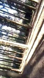 Exotic Adult Scene Vertical Video Best Ever Seen 1