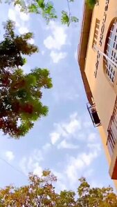 Fabulous Porn Scene Vertical Video Check Only For You