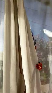 Fabulous Sex Movie Vertical Video Wild Exclusive Version