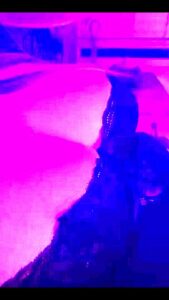 Funsexxxynurse In Crazy Adult Video Big Tits Exclusive Pretty One