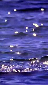 Halle Berry Exotic Adult Video Vertical Video Craziest Its Amazing