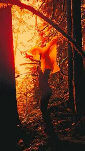 Horny Sex Scene Vertical Video Check Pretty One Exploringeve