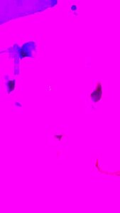 Hottest Adult Video Vertical Video Crazy Watch Show