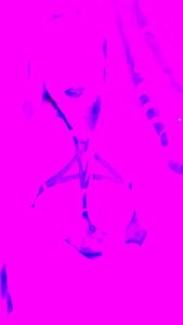 Incredible Adult Clip Vertical Video Great Like In Your Dreams