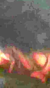 Incredible Porn Video Vertical Video Check Only For You 1