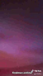 tnNb8WLd